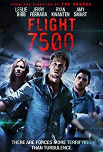 Flight 7500 (2014) Film Online Subtitrat