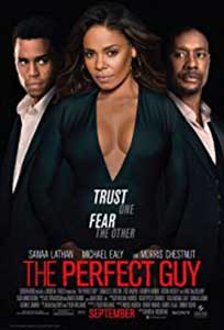 Bărbatul perfect - The Perfect Guy (2015) Film Online Subtitrat