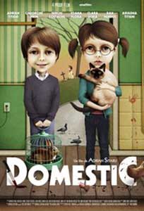 Domestic (2012) Film Romanesc Online in HD 1080p