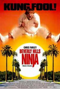 Ninja din Beverly Hills - Beverly Hills Ninja (1997) Film Online Subtitrat in Romana