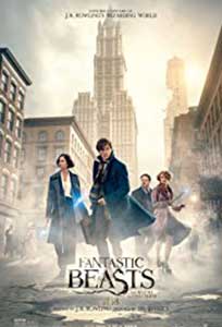 Fantastic Beasts and Where to Find Them (2016) Film Online Subtitrat