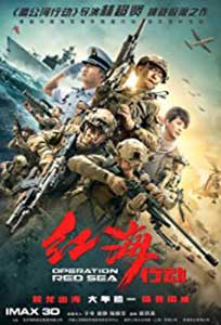 Operation Red Sea (2018) Film Online Subtitrat