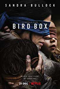 Bird Box (2018) Online Subtitrat in Romana in HD 1080p