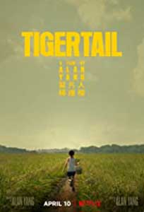 Tigertail (2020) Online Subtitrat in Romana in HD 1080p