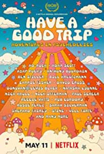 Have a Good Trip (2020) Online Subtitrat in Romana