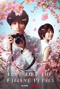 Love Like the Falling Petals (2022) Film Online Subtitrat in Romana